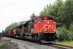 CN 8874